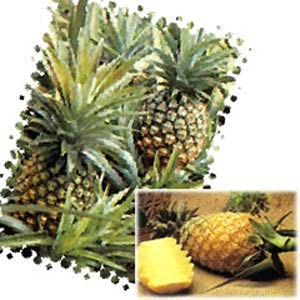 درمان با آناناس