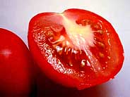 گوجه فرنگی غیرارگانیک