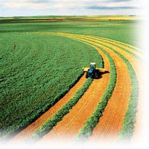 فناوریهای نوین؛ افقهای جدید دانش کشاورزی