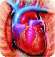داروهای ضدافسردگی و جلوگیری از حمله قلبی
