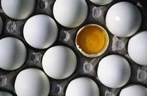 آیا خوردن تخم‌مرغ باعث افزایش کلسترول خون می‌شود؟