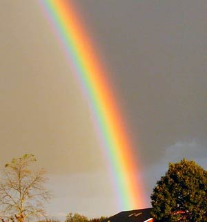 رنگین کمان Rainbow