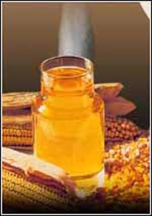 عسل و گردو چربی خون را پایین می آورند