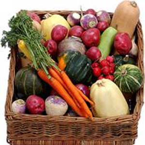 ضریب هوشی بالا با گیاهخواری مرتبط است