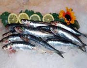 فواید تغذیه‌ای ماهی کیلکا