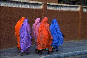 حقوق زنان عرب در مقایسه با کشورهای اسکاندیناوی