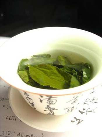 چای سبز" بنوشید تا لاغر شوید