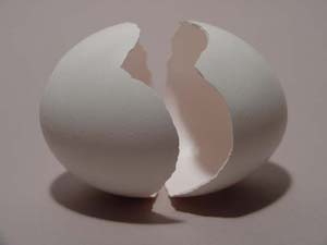 استفاده از محافظت کننده ها جهت تخم‌مرغ