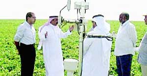 نگاهی به چالش ها و چشم اندازهای کشاورزی در عربستان