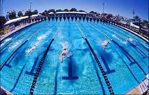 قوانین و مقررات رشته ورزشی شنا