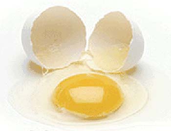 کلیاتی در مورد کیفیت پوسته تخم مرغ