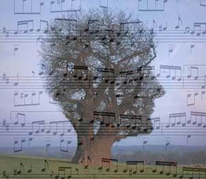 موسیقی درمانی برای بیماران اسکیزوفرنی
