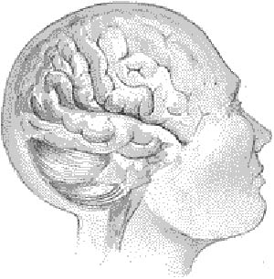مغز و امواج مغزی در هینوتیزم
