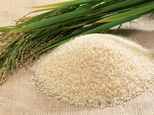 چه کسی مسؤول گرانی برنج است؟