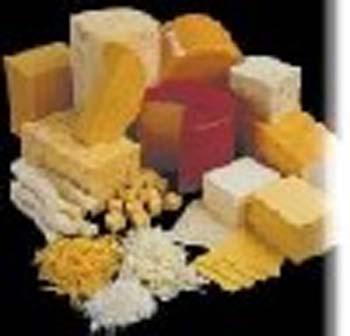 پنیر یعنی زندگی