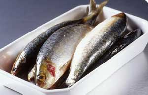 نقش ماهی در جلوگیری از بیماری قلب و عروق