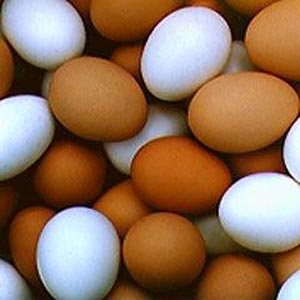 ارزش انرژی زایی تخم مرغ