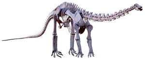 سیزموزاروس، دایناسور مرتعش