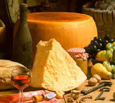 انواع پنیرهای سخت