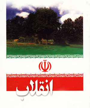 بازتاب ۳۰ ساله انقلاب اسلامی در منطقه