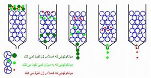 جداسازی مولکولها از یکدیگر
