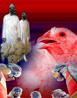 آنفلوآنزای پرندگان، راههای شناخت، پیشگیری و نحوه برخورد با مواردمشکوک