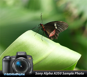 نگاهی به دوربین حرفه‌ای Sony Alpha ۳۵۰ و رقبای نزدیکش!