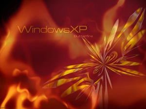 موزش ویندوز XP به صورت ساده