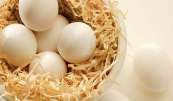 چگونه تخم مرغ های سالم را بشناسیم؟