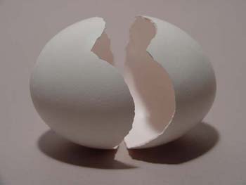 سئوالات عمومی در رابطه با تخم مرغ