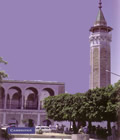 زبان فارسی در تونس