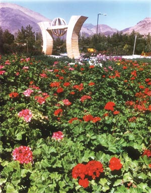 قمصر پایتخت گل و گلاب ایران
