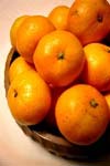 اثر اکسین های ۲,۴-D و نفتالین استیک اسید (NAA) در اندازه و کیفیت میوه نارنگی انشو (.Citrus unshiu L)