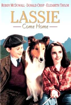 لاسی به خانه باز می‌گردد - Lassie, Come Home