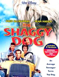 سگ پشمشالو - The Shaggy Dog