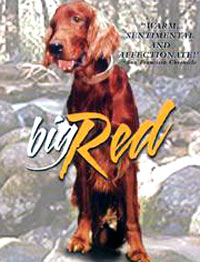 سرخ بزرگ - Big Red