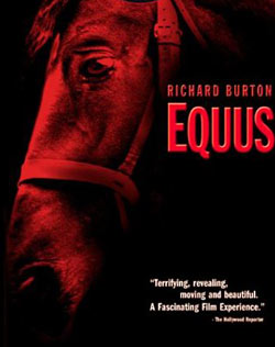 اسب - Equus