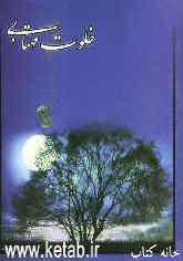 خلوت مهتابی: شرح زندگی، آثار و تالیفات نویسنده ارزشمند، روحانی پرتحرک، شهید سیدعبدالمحمد تقوی