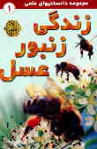 زندگی زنبور عسل