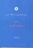 مبانی علم کامپیوتر از دیدگاه ریاضی: ریاضیات گسسته