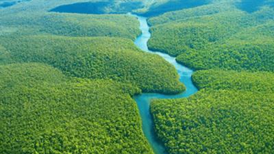 فیلم| جنگل آمازون از منظر فضا