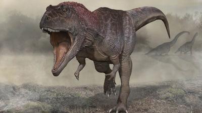 فیلم| رونمایی دانشمندان از اسکلت تازه کشف شده یک دایناسور