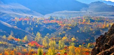 تصاویر| پاییز هزار رنگ «هیر»