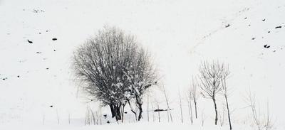 بارش ۲ متری برف در ارتفاعات دلفان/ راه دسترسی ۳۲۰ روستا قطع است