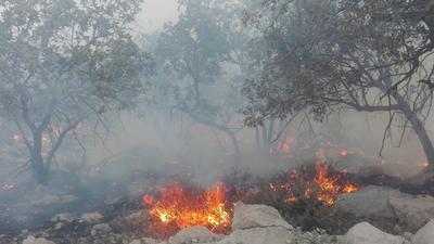دستور دادستان برای شناسایی عاملان آتش‌سوزی جنگل‌های حمیدیه خوزستان