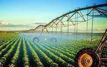 تولید محصولات کشاورزی با ۱۸ پروژه ملی رونق گرفت