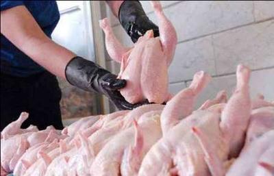 نبود کمبود مرغ در آذربایجان غربی