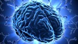 قاتلین مغز انسان چه خوراکی هایی هستند؟