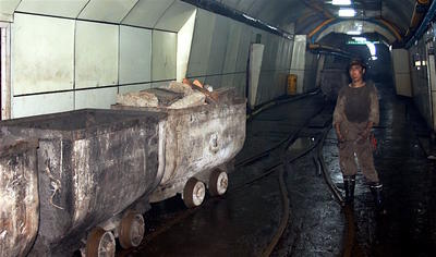 کف‌سازی زغال‌سنگ در کف قیمت 290 دلار