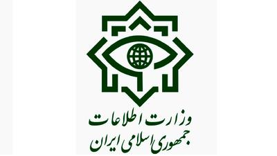 وزارت اطلاعات: هسته‌های عملیاتی وابسته به منافقین متلاشی شدند